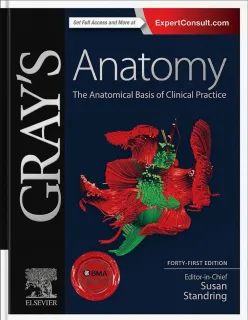 Grays anatomy – Abdomen and Pelvis Chapter
